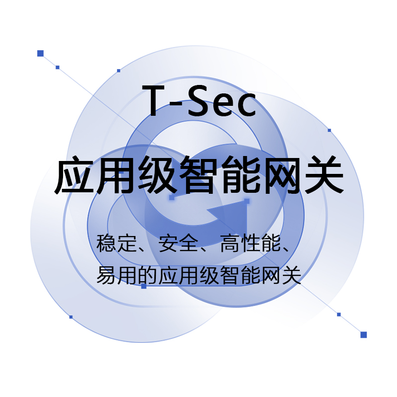 T-Sec应用级智能网关